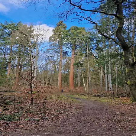 Dom wakacyjny Chalet,