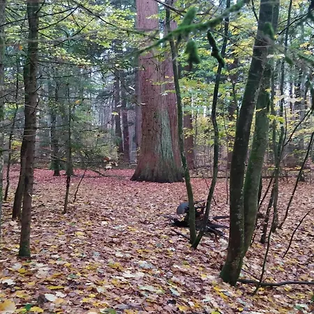 Prázdninový dům Chalet,