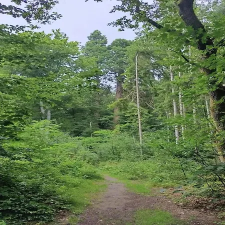 Chalet, Dom wakacyjny *