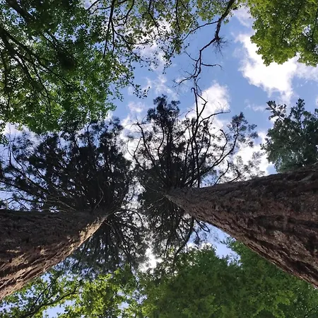Chalet, Prázdninový dům Wendorf (Kuhlen-Wendorf)