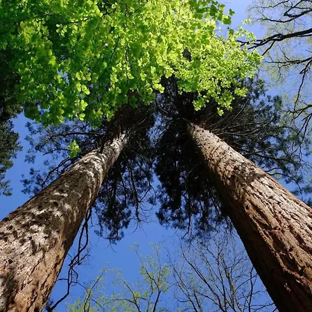 Chalet, Wendorf (Kuhlen-Wendorf)