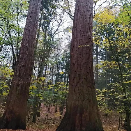 Prázdninový dům Chalet, *